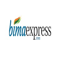 Bima Express logo - Similar company to Emixchange