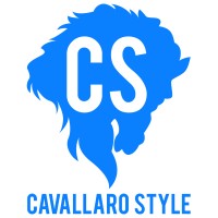 CavallaroStyle logo - Similar company to Tidycode