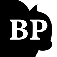 Brandon Peele logo - Similar company to Authentic Relating Ottawa