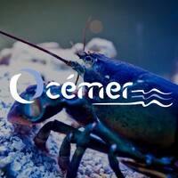 OCEMER logo - Similar company to Ô Maté