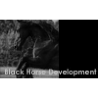 Black Horse Investments, LLC logo - Similar company to Japa Conseil