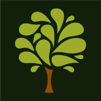 InSure Insurance LLC