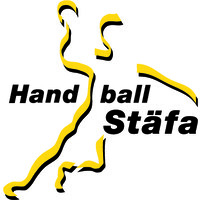 Handball Stäfa SHL logo - Similar company to Paragon Construction & Dev., Inc.
