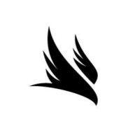 Falcon Capital Management logo - Similar company to Regina Ungar & Co. – Corporate Financial Consulting