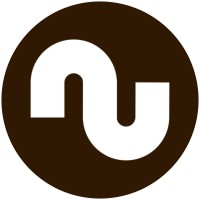 NELSOFT logo - Similar company to Icity Technologies