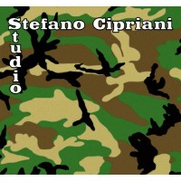 Stefano Cipriani Studio logo - Similar company to Exporyt