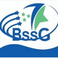 BSSG TRADING INDIA logo - Similar company to Glory Constructions