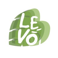Levo Market logo - Similar company to Lpo - Logística Peruana Del Oriente