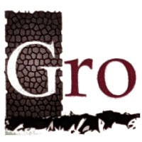 VSGrouptx logo - Similar company to Light Lxd