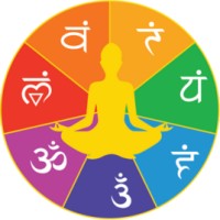Astrochakra App logo - Similar company to We-Astro