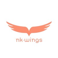 nkwings logo - Similar company to Paythunder