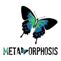 metamorphosis logo - Similar company to Metamorphosis Marketing Llc