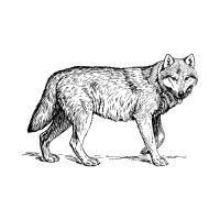 FlorisWolf logo - Similar company to FundsUp