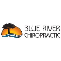 BLUE RIVER CHIROPRACTIC LLC logo - Similar company to Cm Logistic
