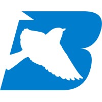 BluBird Integrated Services logo - Similar company to Blubird
