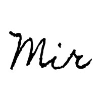 Mir Meridian logo - Similar company to Etta.Io