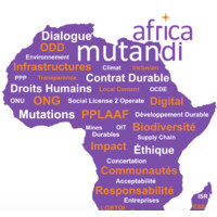 Africa Mutandi, le média à impact sur la RSE & les ODD en Afrique !!! logo - Similar company to Affectio Mutandi, Conseil En Vigilance Esg & Impacts Rse - Europe & Afrique