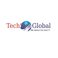 TechSys Global logo - Similar company to Global Techsys, Pune.