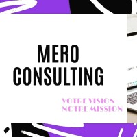 MERO CONSULTING logo - Similar company to Meros