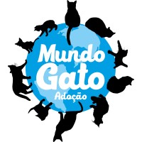 MundoGato logo - Similar company to A Bela Do Dia