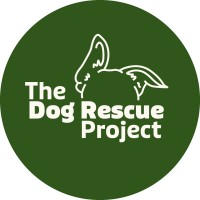 The Dog Rescue Project logo - Similar company to Oddthing