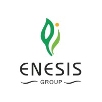 Enesis Group logo - Similar company to Enesis