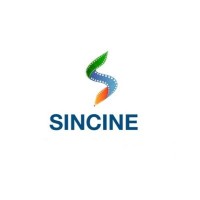 Sincine Film Festival logo - Similar company to Albertt Studio