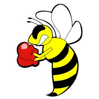 Boxfit.pro logo - Similar company to Boxfit Personal Training Ltd