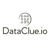 DataClue.io logo - Similar company to Alsomine