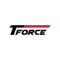 T Force Group logo - Similar company to Technology Force
