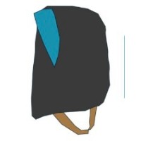 Blue Plume Academy logo - Similar company to S-54