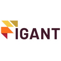 Figant logo - Similar company to Summit, Shiv Nadar University