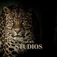 Ingwe Studios logo - Similar company to Providence Film Group