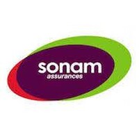 Groupe Sonam logo - Similar company to Sonac