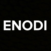 ENODI logo - Similar company to Edmond & Lily Safra Center For Ethics