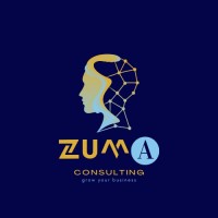 Zuma Consulting logo - Similar company to Easy Strategy