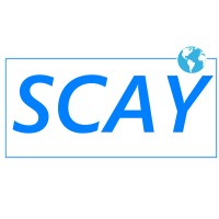 SCAY - Service-Conseil Alexandre Yai logo - Similar company to Total Service Conseil