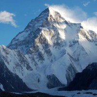 Pinnacle Customer Success