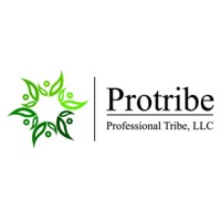Professional Tribe, LLC. logo - Similar company to Wormhouse™