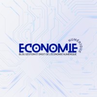 Blog Economie Numérique logo - Similar company to Numistra Strasbourg.