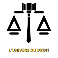 LUNIVERSDUDROIT.COM logo - Similar company to Shepower - Digital Media Training Program
