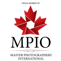Master Photographers International Organization-MPIO logo - Similar company to Ioie - International Organization Of Importer & Exporter