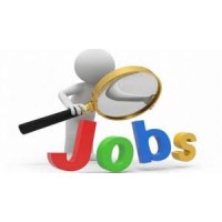 Pro Indians Job The best Government Jobs Notification logo - Similar company to Polaris Solutions Enterprise