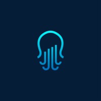 Octopus Analytics logo - Similar company to Ibelsa Gmbh