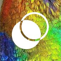 WePlanet Portugal logo - Similar company to Fairosene
