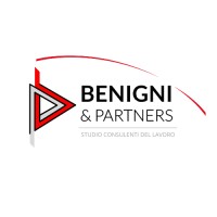 Benigni & Partners srl - STP logo - Similar company to Studio Morari Lucia