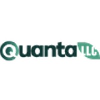 Quanta Consulting LLC logo - Similar company to Hostnownow