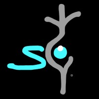 Seyenapse logo - Similar company to Create Asia 360