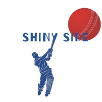 Shiny Side Cricket logo - Similar company to My Tech