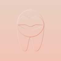 Paris Dental Studios logo - Similar company to Consulting En E-Commerce